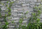Rowes Baygreen-walls-4.jpg; ?>