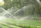 Rowes Baylandscaping-water-management-and-drainage-17.jpg; ?>